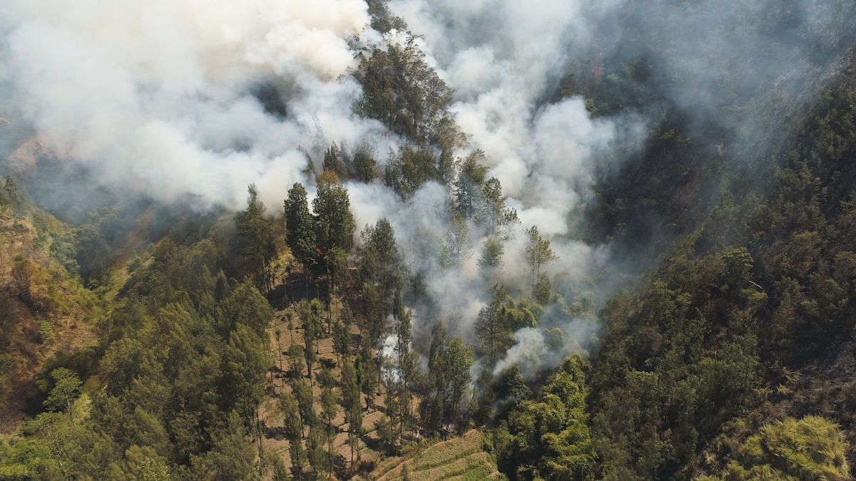 Indonesia peat fire raced to within 330 feet of home, leaving residents afraid to sleep