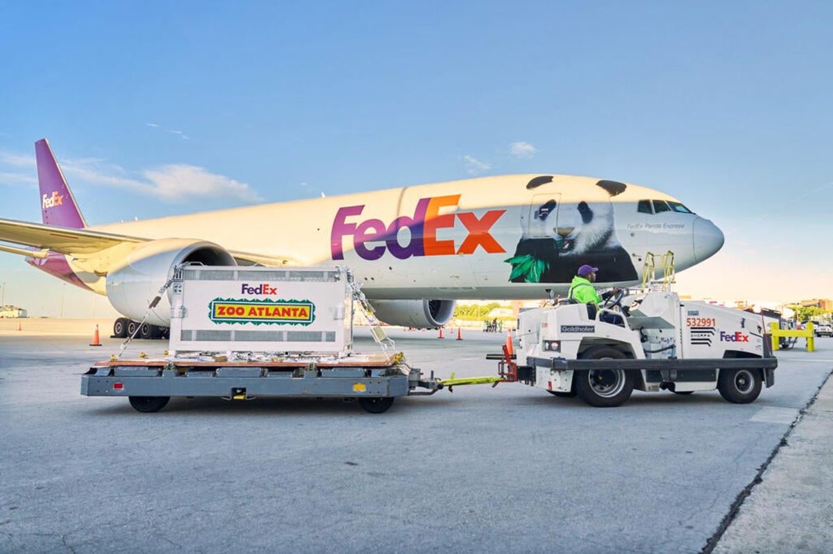 New giant pandas from China arrive in Atlanta zoo