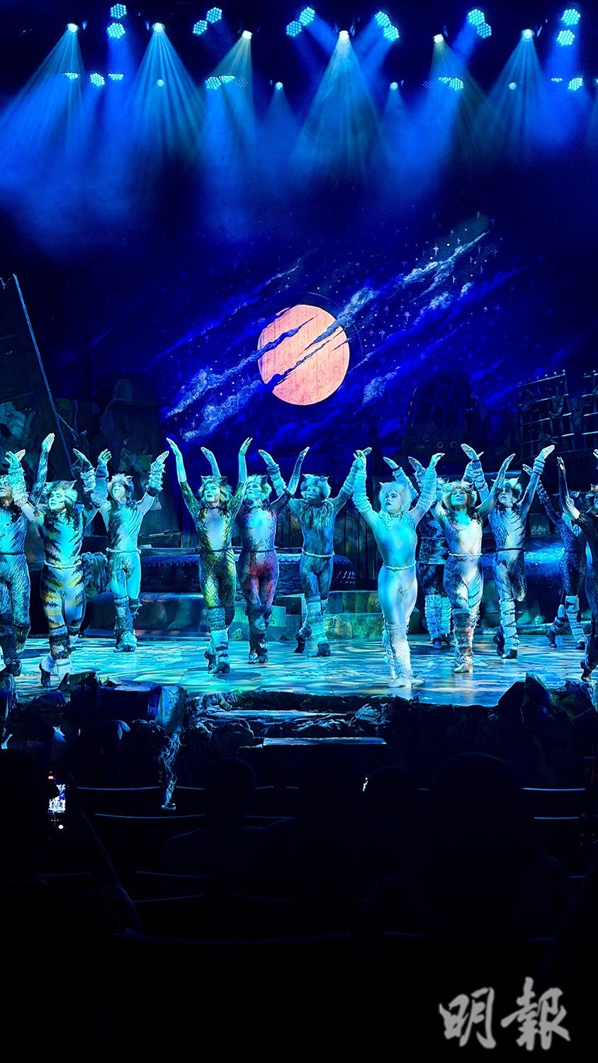 音樂劇《cats》西九戲曲中心上演 短片睇預演精華