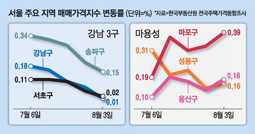 稅부담 작은 '덜 똘똘한 한채' 효과에 마용성 집값 껑충 … 강남3구는 주춤