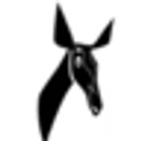 Radio Okapi