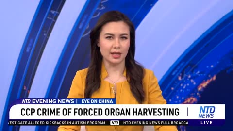 Forced organ harvesting by CCP no longer taboo, researchers say