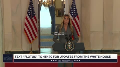 Melania Trump: Lies linking me with Jeffrey Epstein must end.