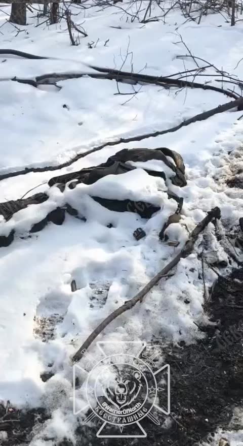 Ukraine Receives 1,000 Bodies in Fallen Soldiers Exchange, Russia 41